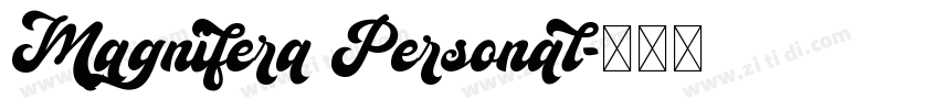 Magnifera Personal字体转换